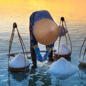 chemical industry news