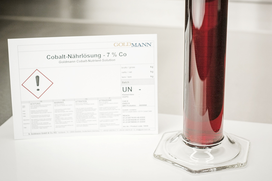 goldmann co nl klein 23 900x500