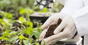 Hands with soil for planting illustrates PlusChem's expertise in the Agrochemical industry