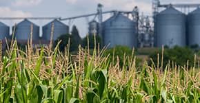 Corn field with silos in the background illustrates PlusChem's expertise in the Food and Feed industry