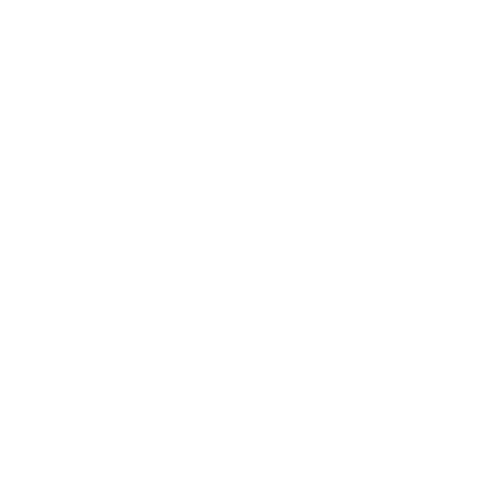 PlusChem icon representing Fine and Specialty Chemicals